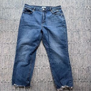 LOFT Curvy High Waist Straight Crop Jean Size 31/12